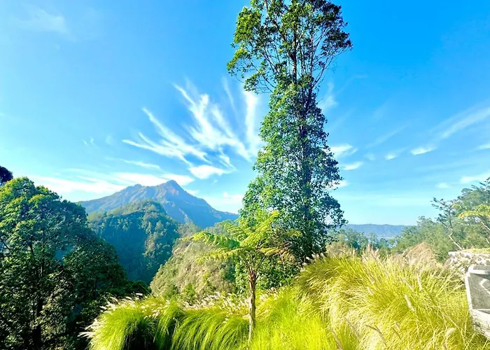 Alengkong Bali Camp Hotel Bangli