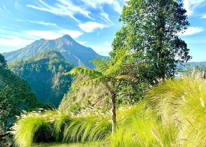 Alengkong Bali Camp * Bangli